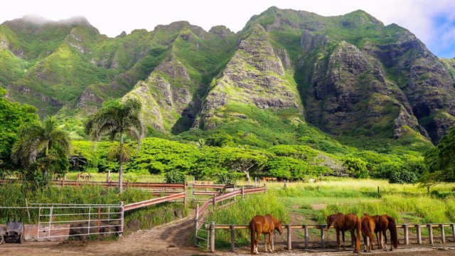 Jumanji: Welcome to the Jungle Filming Locations Explained