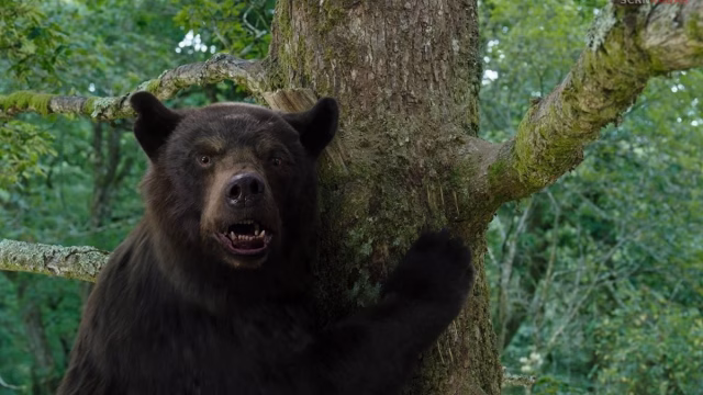 Cocaine Bear Ending Explained: What Happens to the Bear and the Survivors?